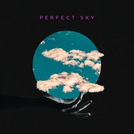 Album cover of Perfect Sky (Instrumental)