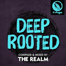 Album cover of Deep Rooted (Compiled & Mixed by The Realm)