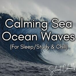 Album cover of Calming Sea Ocean Waves