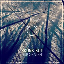 Album cover of Dub of Steel