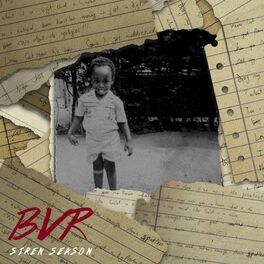 Album cover of BVR