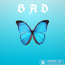 Album cover of BAD
