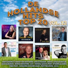 Album cover of Hollandse Hits Top 20 vol. 12