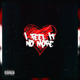 Album cover of I Feel It no More