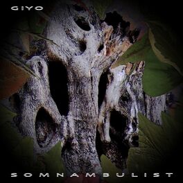 Album cover of Somnambulist