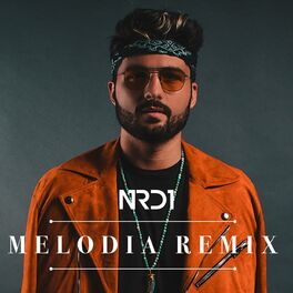 Album cover of Melodia Remix (Radio Edit)