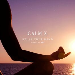 Album cover of CALM X