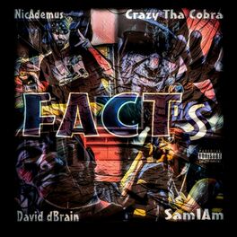Album cover of Facts (feat. Nicademus & SAMiAM)