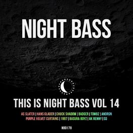 Album cover of This is Night Bass: Vol. 14