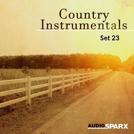 Album cover of Country Instrumentals, Set 23