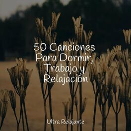 Album cover of 50 Canciones Para Dormir, Trabajo y Relajación