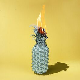 Album cover of Under The Shade of Green