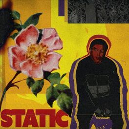 Album cover of STaTiC