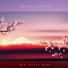 Album cover of Prana Apana