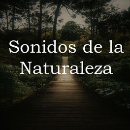 Album cover of Sonidos de la Naturaleza a la Noche