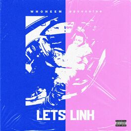 Album cover of Lets Link (Remix)