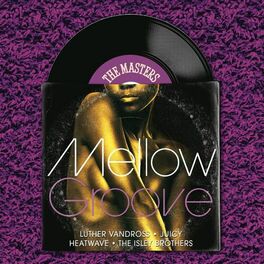 Album picture of The Masters Series: Mellow Groove