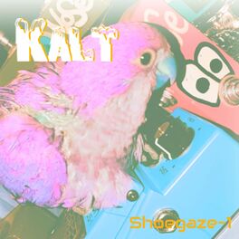 Album cover of Kalt Shoegaze-1