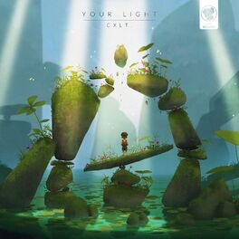 Album cover of Your Light