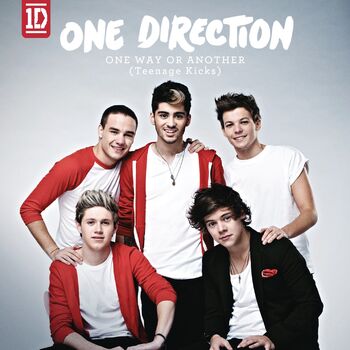 One Way or Another (Teenage Kicks) cover