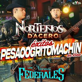 Album cover of Norteños D'Acero: Éxitos Pesaooogritomachín (En Vivo)