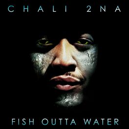 Album cover of Fish Outta Water
