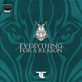 Album cover of Everything For A Reason