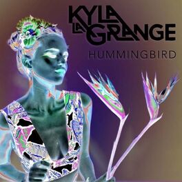 Album cover of Hummingbird (OX2 Remix)