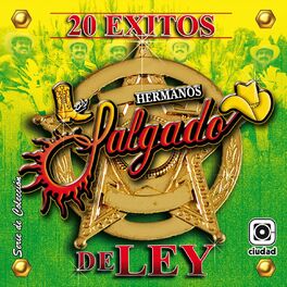Album cover of 20 Exitos de Ley (Serie de Colección)