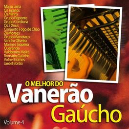 Album cover of O Melhor do Vanerão Gaúcho, Vol. 4