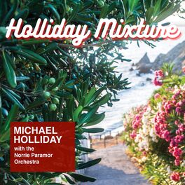 Album cover of Holliday Mixture