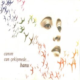 Album cover of Canım Can Çekişmede