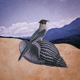 Album cover of Pássaro Blue