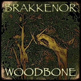 Album cover of Woodbone