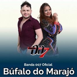 Album cover of Búfalo do Marajó