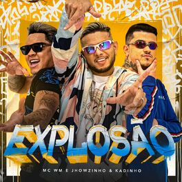 Album cover of Explosão