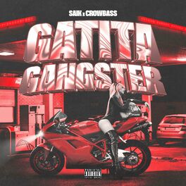 Album cover of GATITA GANGSTER (feat. Crowbass)