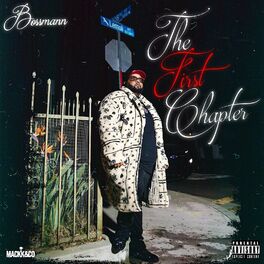 Album cover of The First Chapter