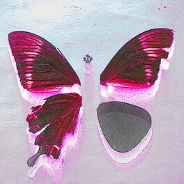 Album cover of Brudne Motyle