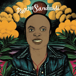 Album cover of Le troubadour de la savane (1976-1980)