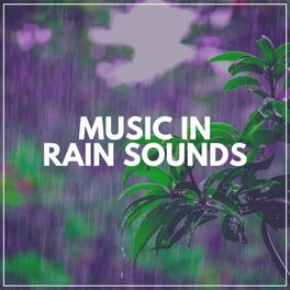 Album cover of Music in Rain Sounds