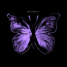 Album cover of Butterfly