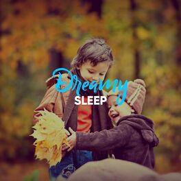 Album cover of # 1 Album: Dreamy Sleep
