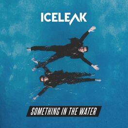 Album cover of Something In The Water