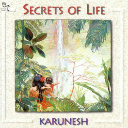 Album cover of Secrets Of Life