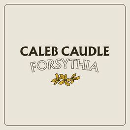 Album cover of Forsythia