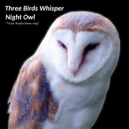 Album cover of Night Owl (Victor Wardin Theme Song)