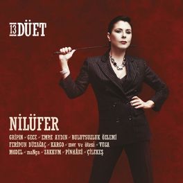 Album cover of 13 Düet