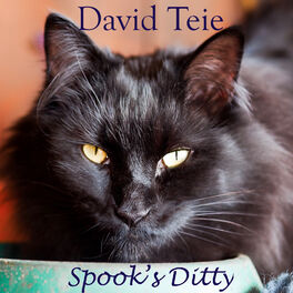 Album cover of Spook's Ditty