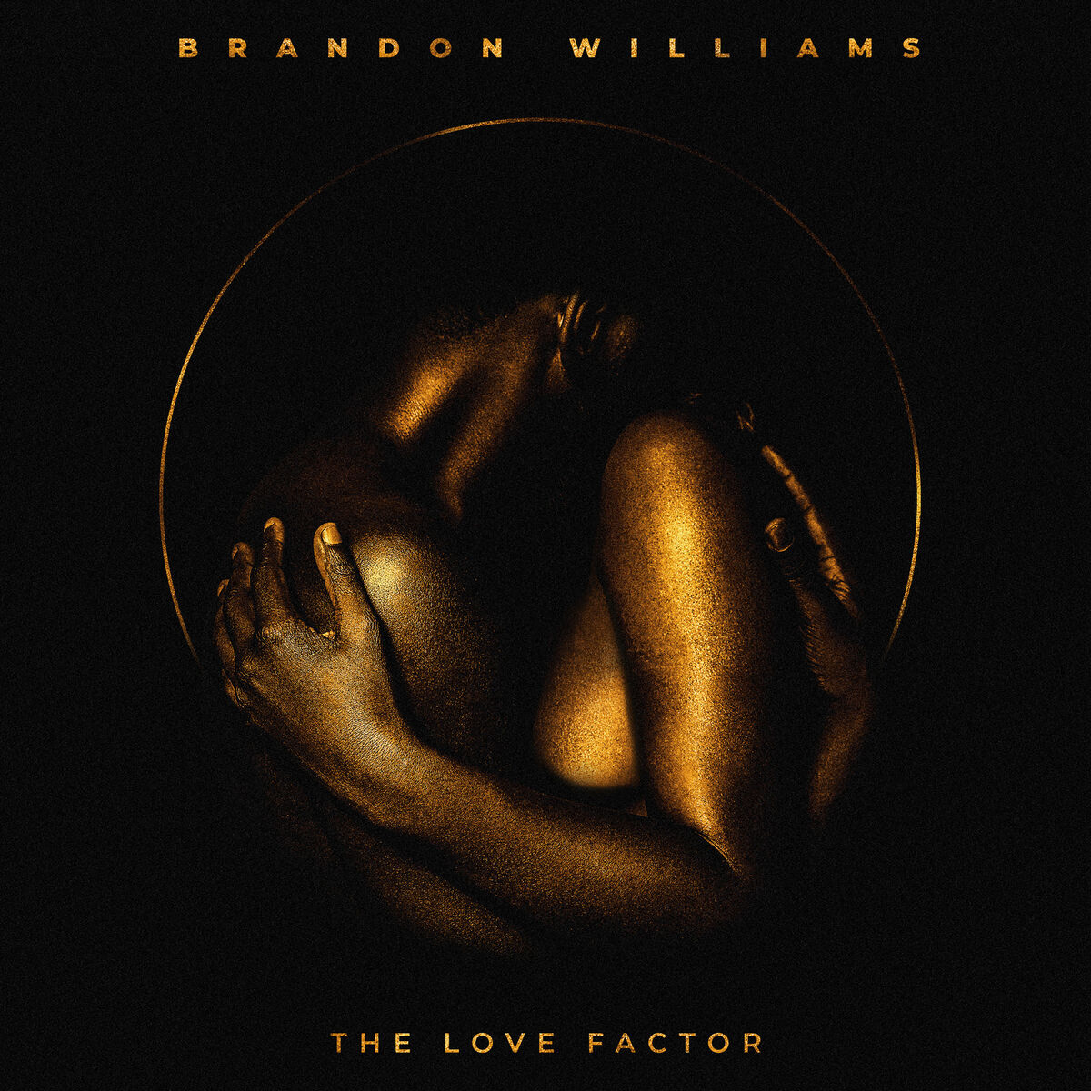 Brandon Williams - Say You Love Me: listen with lyrics | Deezer